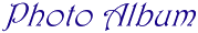 {short description of image}