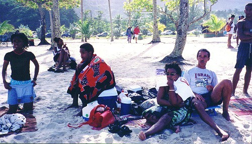 The beach revellers