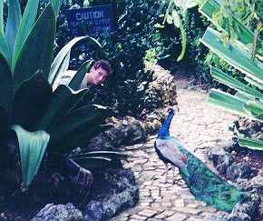 Sean and peacock