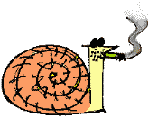 Caracol Apresentador da Home Page