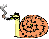 Caracol Apresentador da Home Page