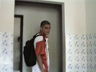 Foca