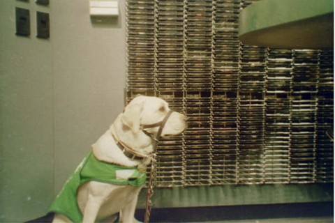 Pele posing in the KNCI studio