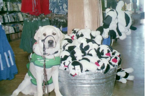 Pele and stuffed Big Dogs at the outlet store