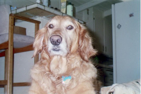 Georgie looking smug