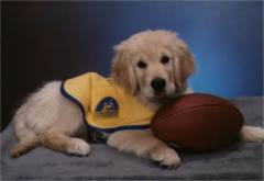 Keyston with his football