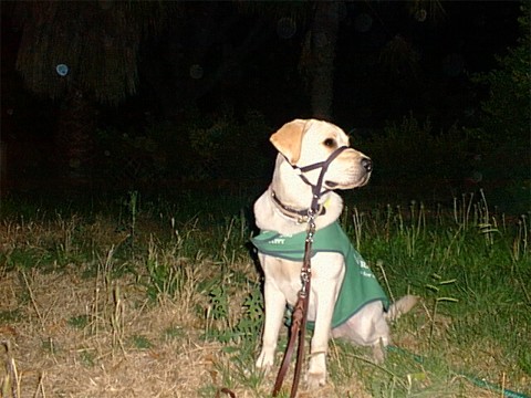 Pele watching the fireworks