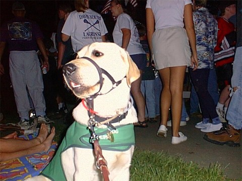 Pele waiting for the fireworks to start