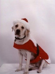 Pele dressed in his Santa suit