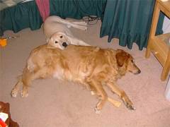 Pele with her big sis, Georgie
