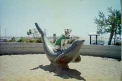Pele sitting atop a marble seal, looking like he's going for a ride