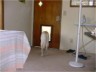 Pele with his head out the dog door, everything else inside