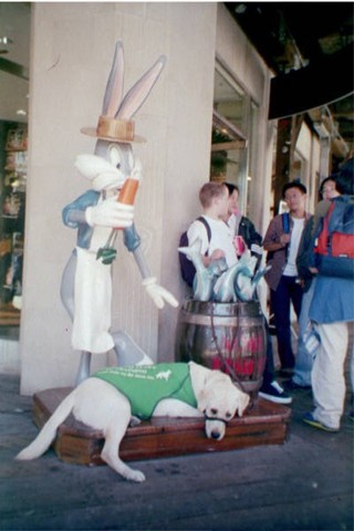 Pele at Bugs Bunny's feet