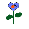 blue heart-flower