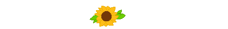 more sunflowers