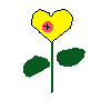 yellow heart-flower