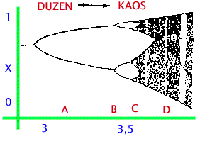 bifucation 003.gif (5193 bytes)