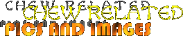 pics_top.gif (6320 bytes)