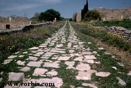 Carthagian Road.jpg (16782 bytes)