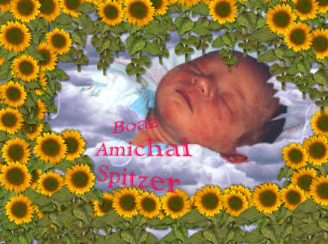 Click here for Yael's Gallery