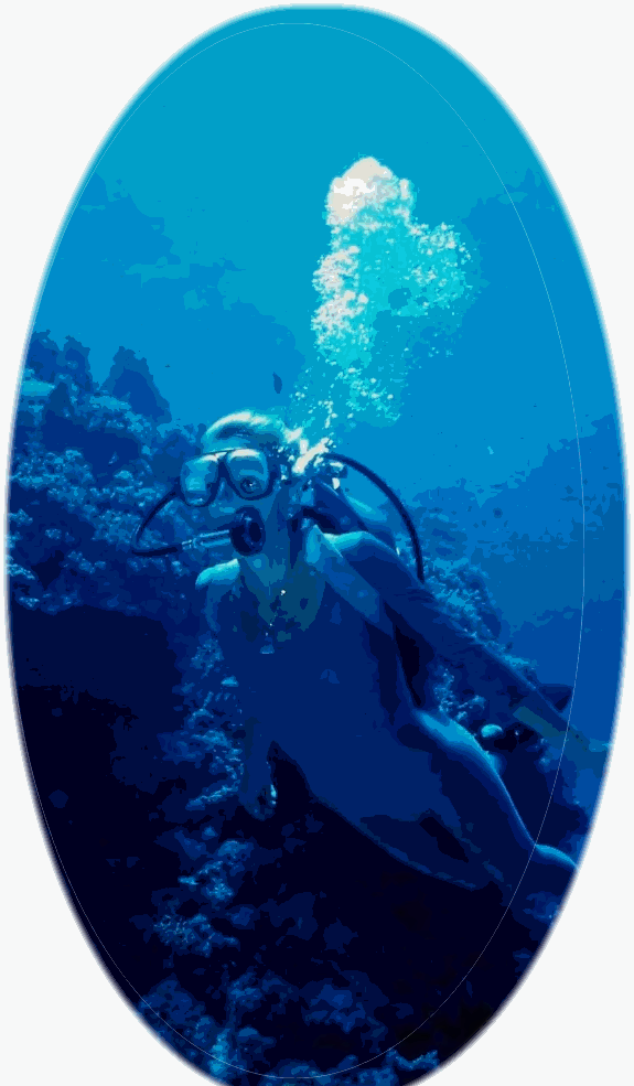 Return to Diving page