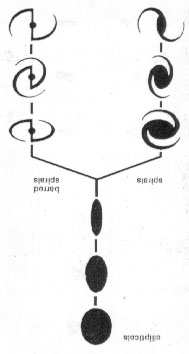 Classification of Galaxies
