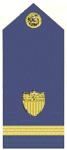 Shoulder Board for Coast Guard Ensign