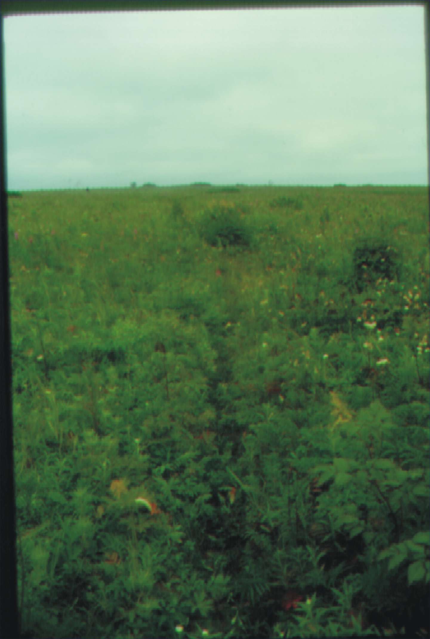 sofo photo fall 2000 11