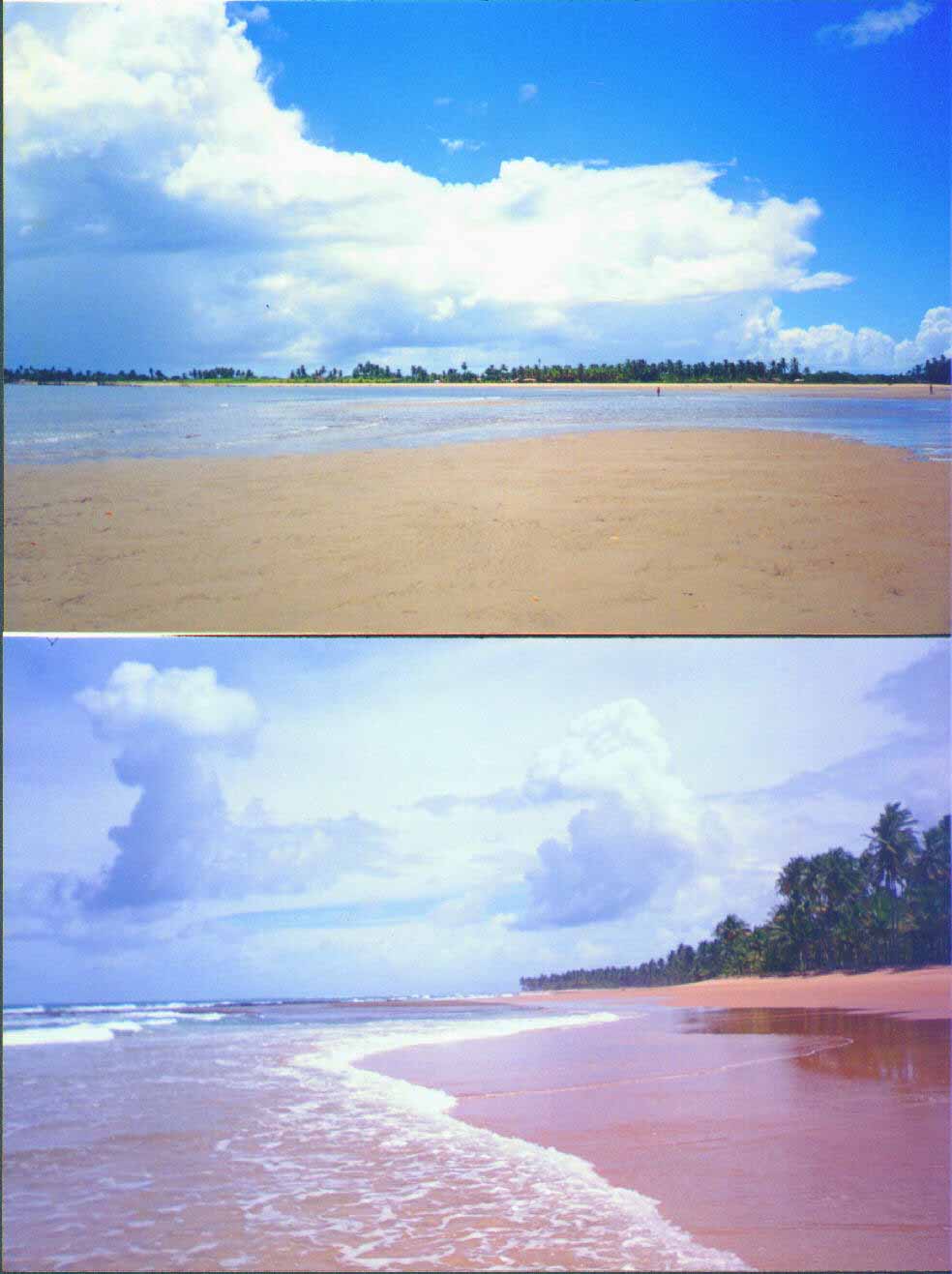 O Paraiso...