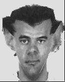 Moro mielda