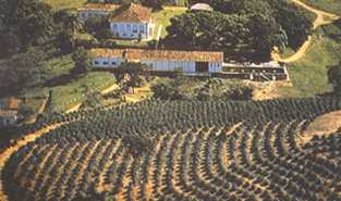 Planta��o em curva de n�vel