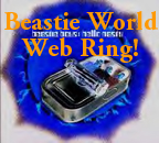 Click the enter - Beastie Boys Web Ring