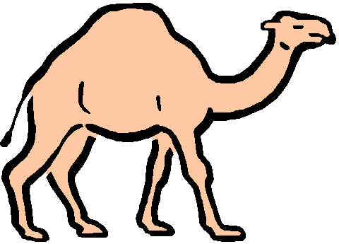 camelo6.wmf (3192 bytes)
