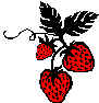 Morango1.wmf (12682 bytes)