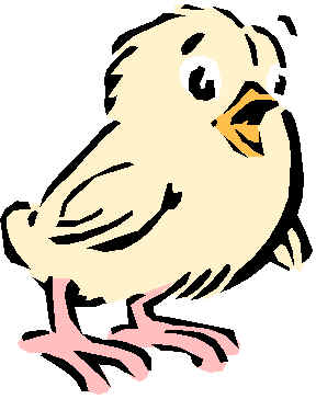 pinto2.wmf (3158 bytes)