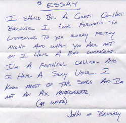 essay