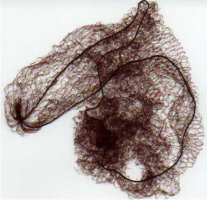 Hairnet