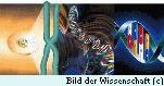 Bild der Wissenschaft, Nov.1997