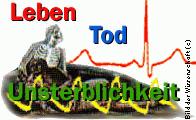 Bild der Wissenschaft, Nov.1997