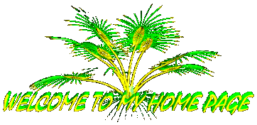 Fern