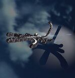 Scorpion�s Homepage - Diddl Bilder