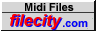 File City