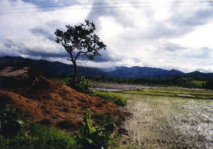 A picture from Mindoro