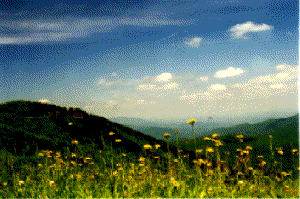 blue ridge parkway