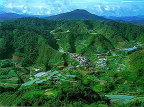 Cameron Highland