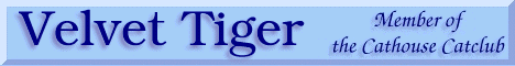 club banner