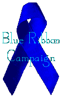 [Blue Ribbon Campaign for Free Speech on the Net]
