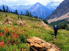 Leadqueen Meadow, Purcell Range