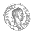 Alexander