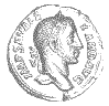 Alexander
